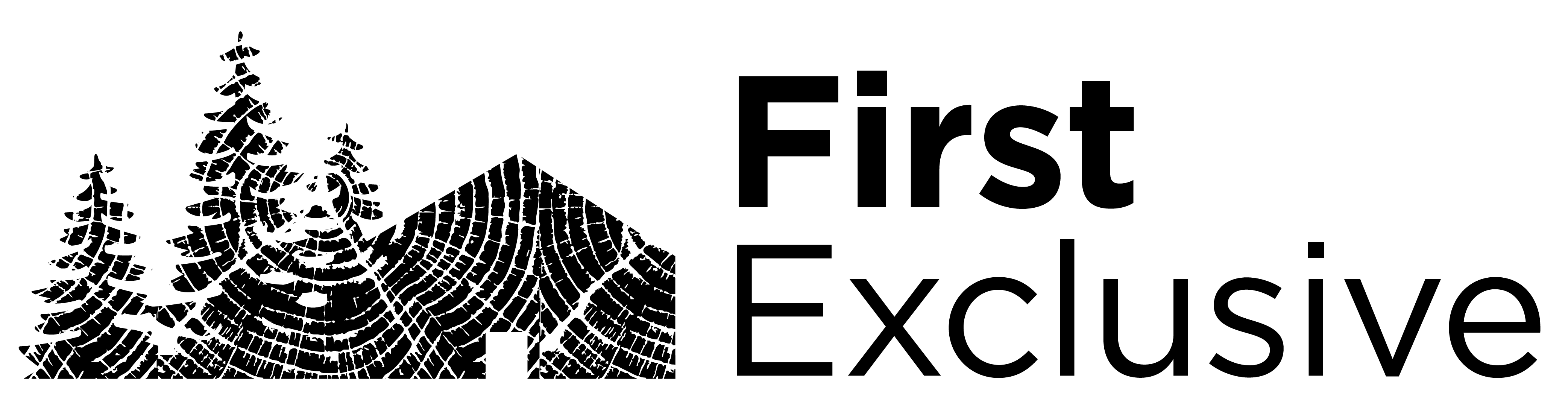 First Exclusive Logo
